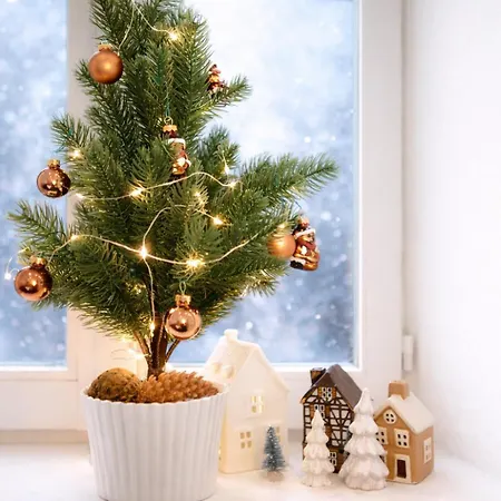 Lejlighed Le Cocon Alsacien Centre Place Des Halles