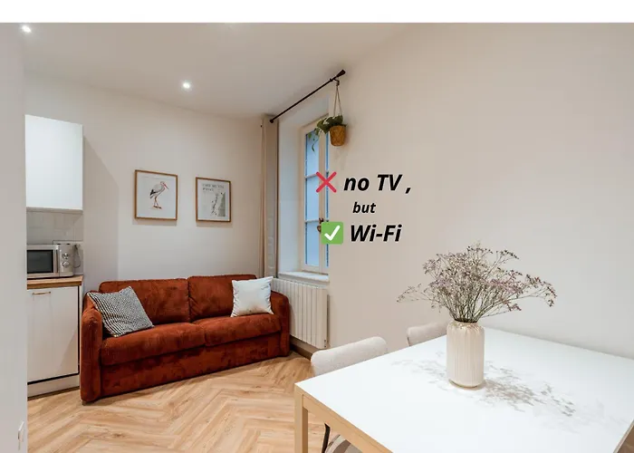 Au Rez De Chaussee Vue Cour Strasbourg