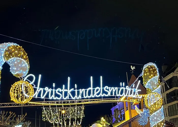 Au Rez De Chaussee Vue Cour * Strasbourg