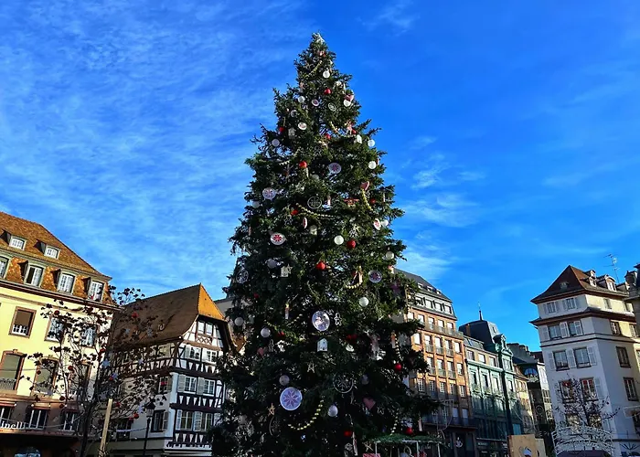 Lejlighed Au Rez De Chaussee Vue Cour *